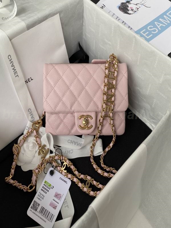 Chanel Handbags 173